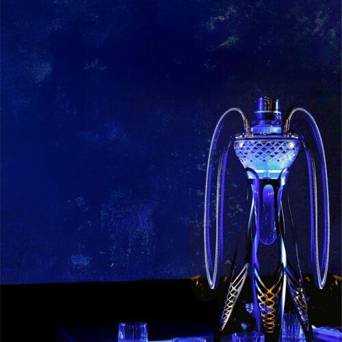 Meduse Shisha